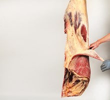 Meat Cut Spec Step 4